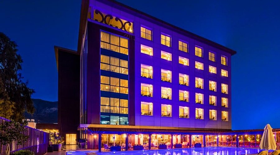 Grandpasha Agency 2025: Fokus pada AI, Data, atau Kreativitas? Ini Kunci Strateginya